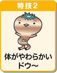 カッパーくんのプロフィール | カッパーくんの銅(どう)なってるの