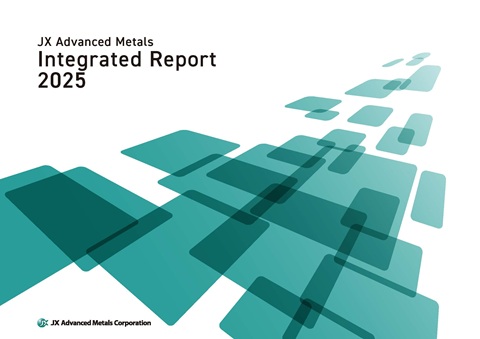 Integrated Report 2025