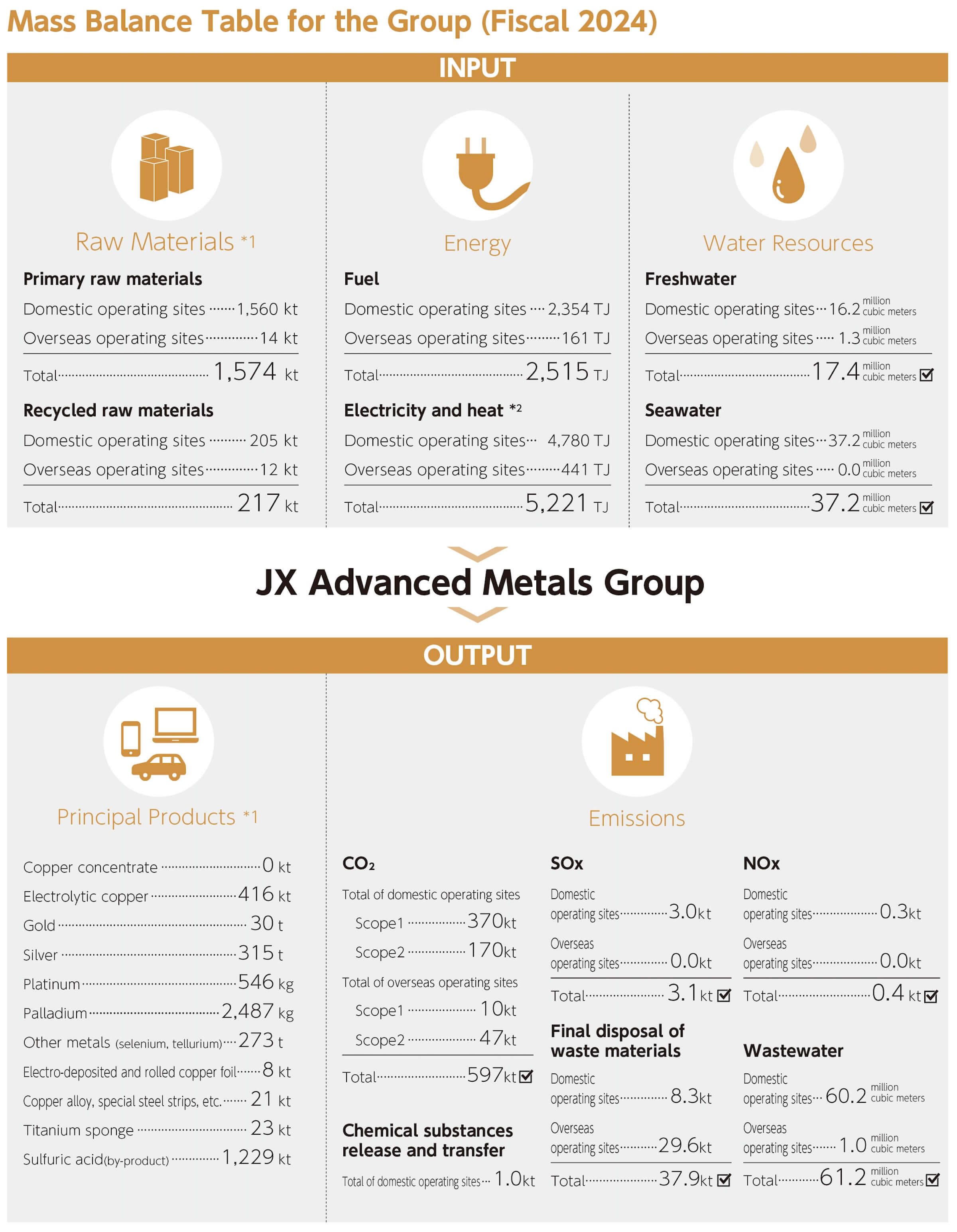 Mass Balance Table for the Group
