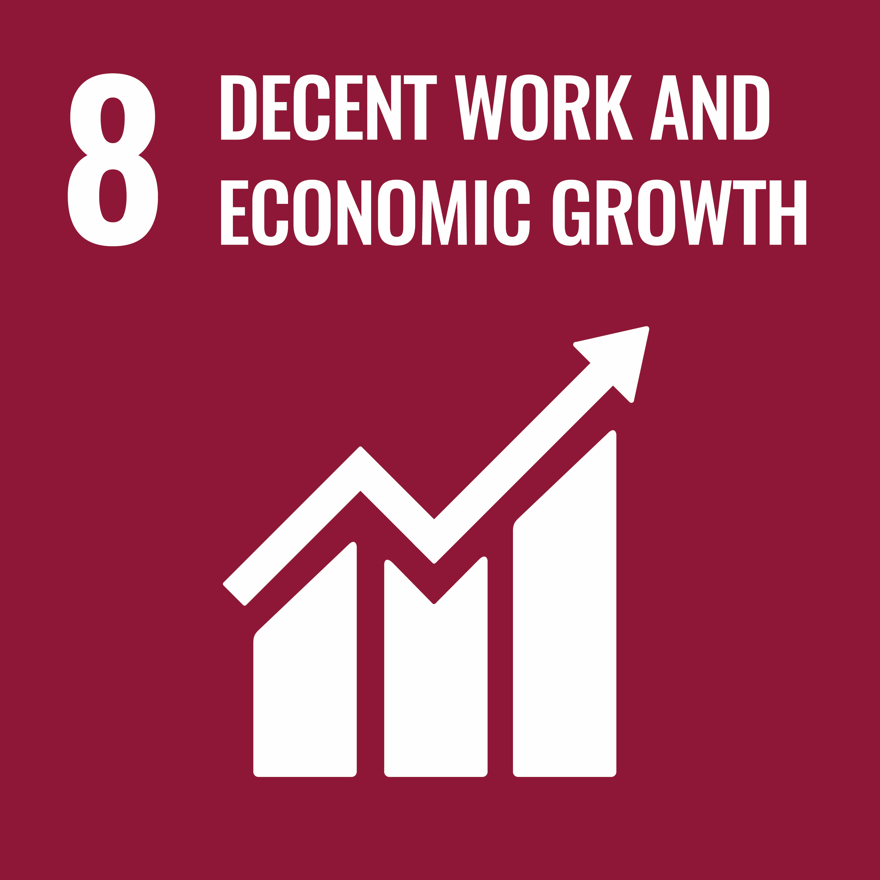 sdg-icon08