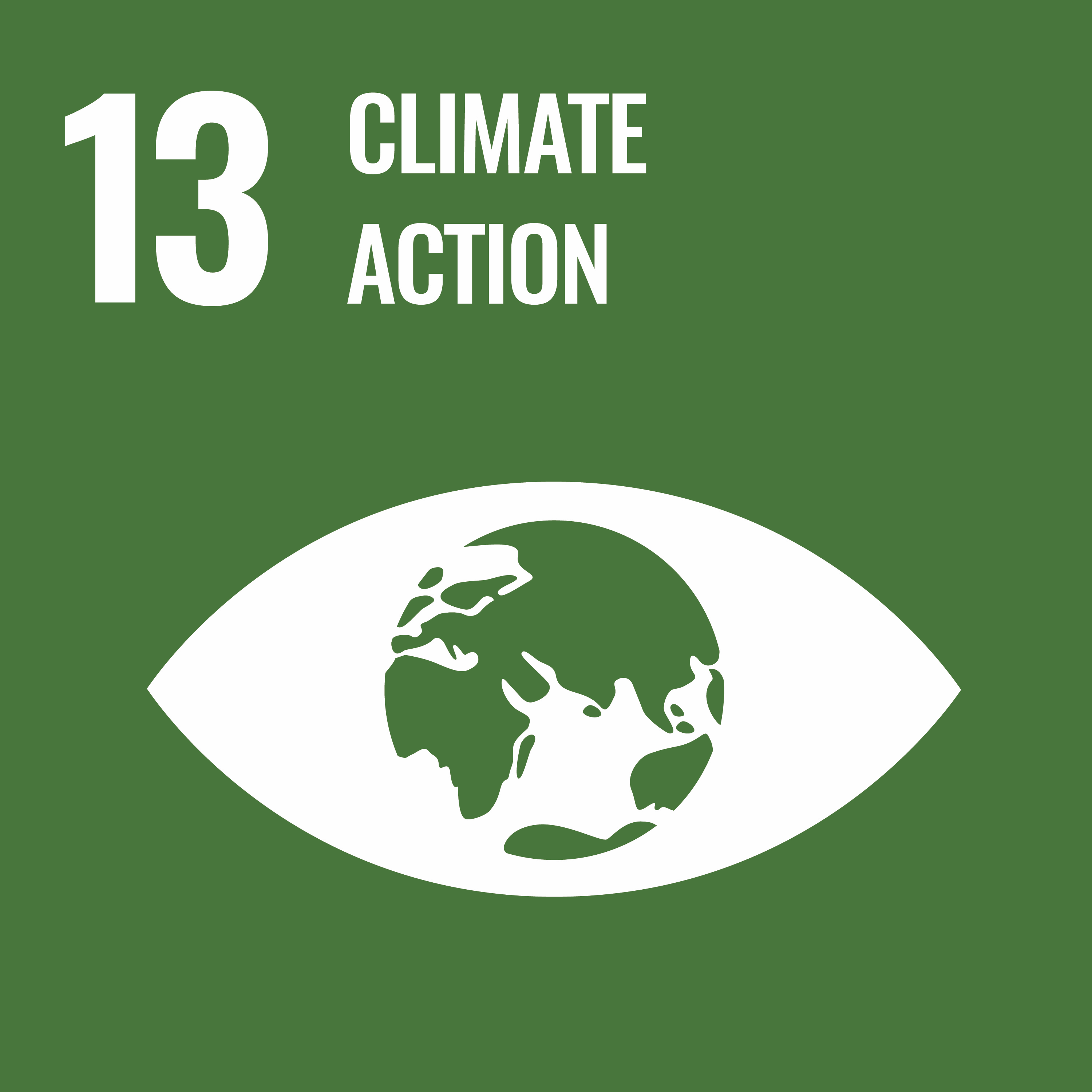 sdg-icon13
