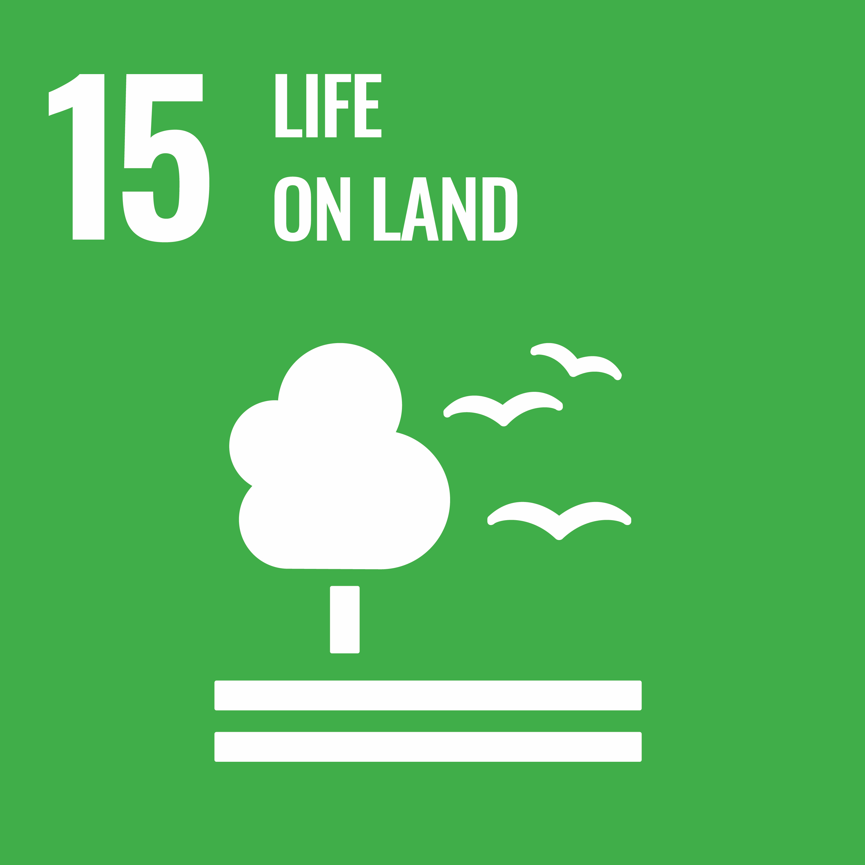 sdg-icon15