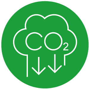 Forming a Decarbonized Society