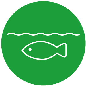Initiatives for Environmental Conservation