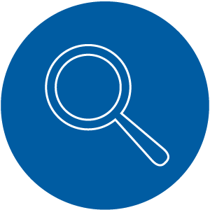 Global Quality Governance