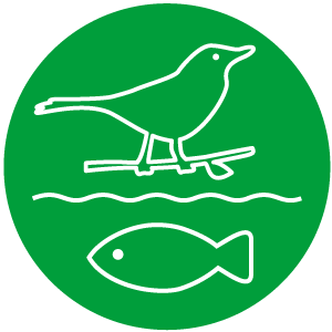 Conservation of Biodiversity