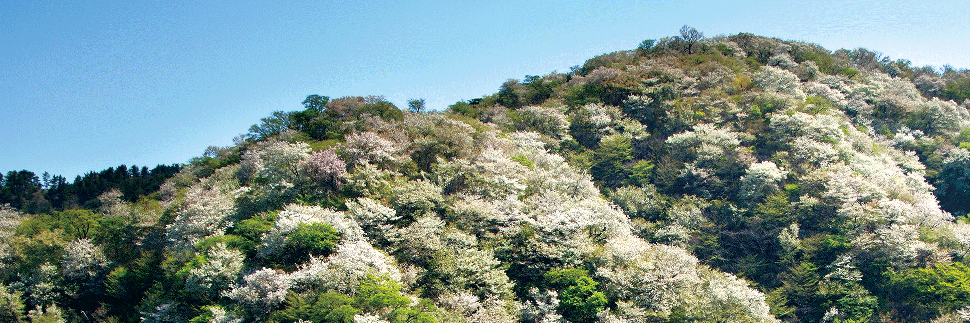 Our sustainability-focused management