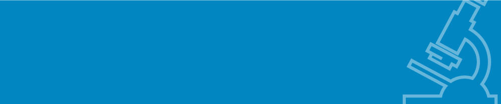 Building a Development Framework and Fostering Development Personnel