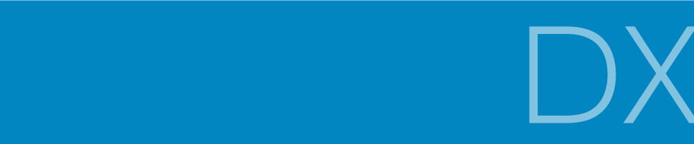 Pursuing Digital Transformation (DX) 