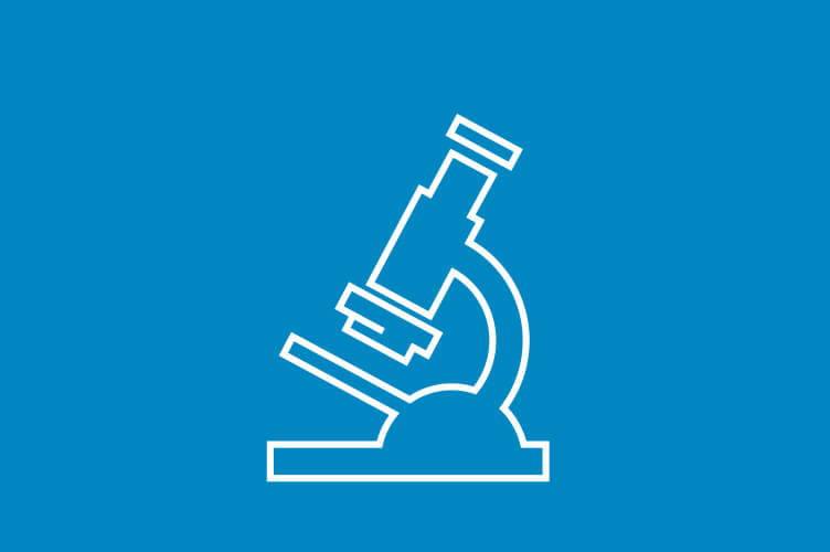 Building a Development Framework and Fostering Development Personnel