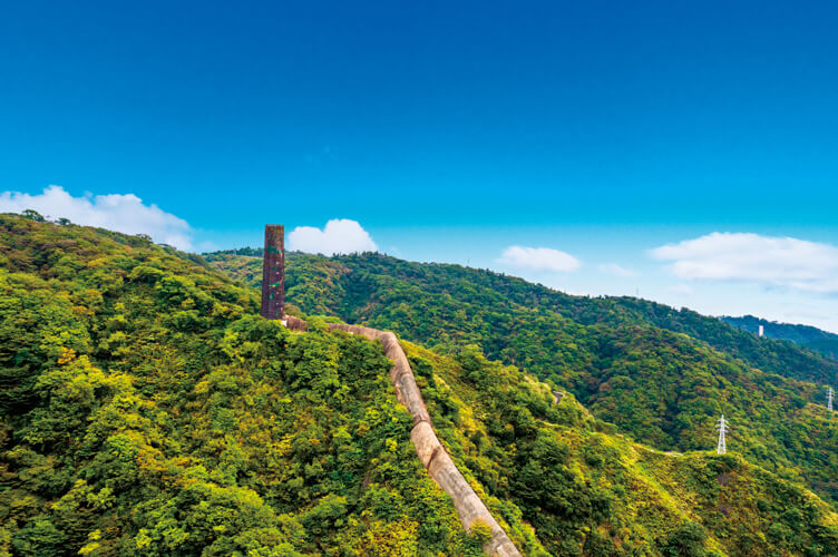 Regional Cooperation in Ibaraki Prefecture