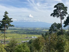 IMG_0299.jpeg