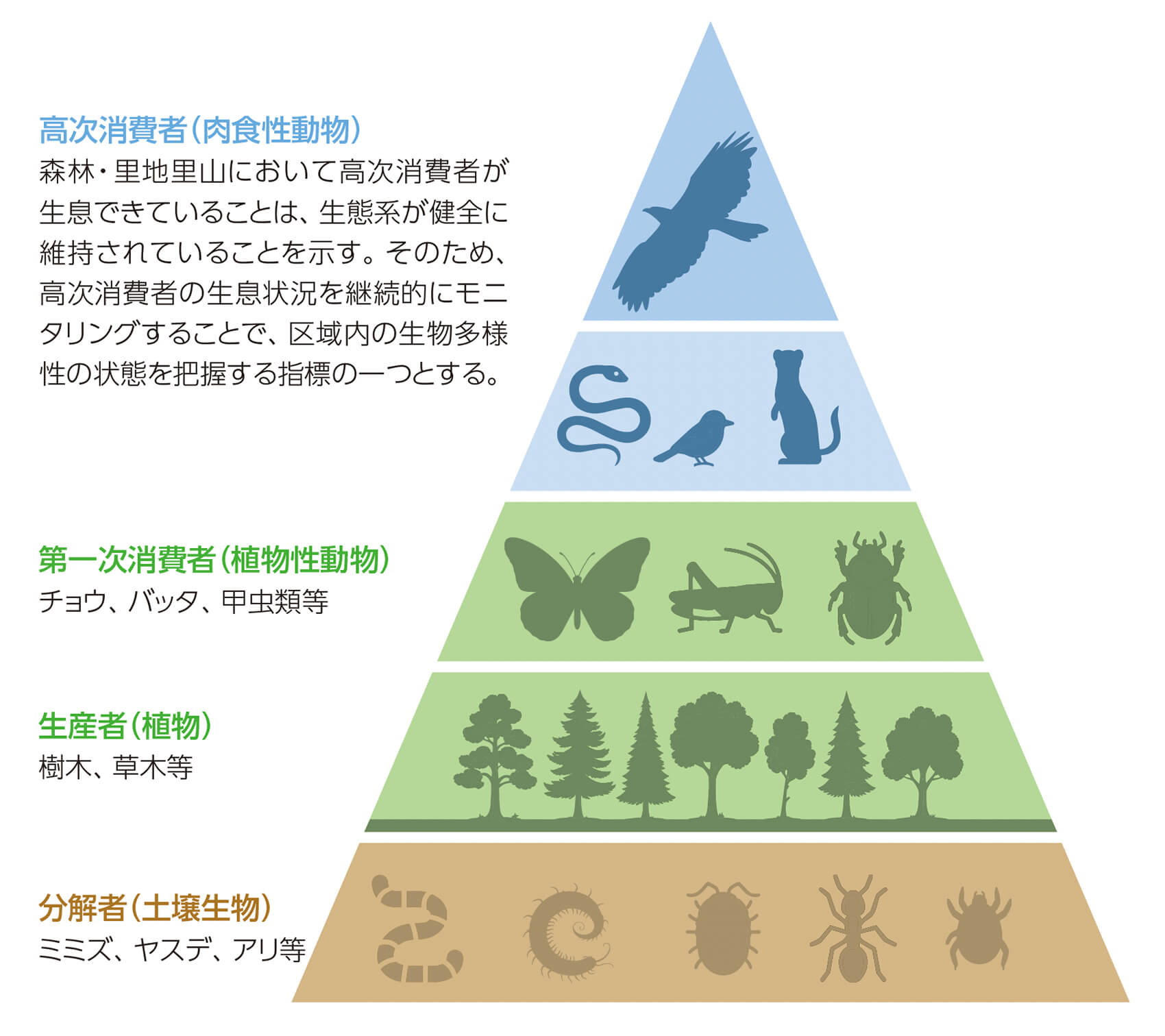 里地里山の生態系
