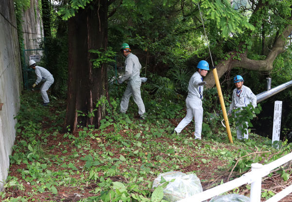 周辺のごみ拾いや草刈を実施