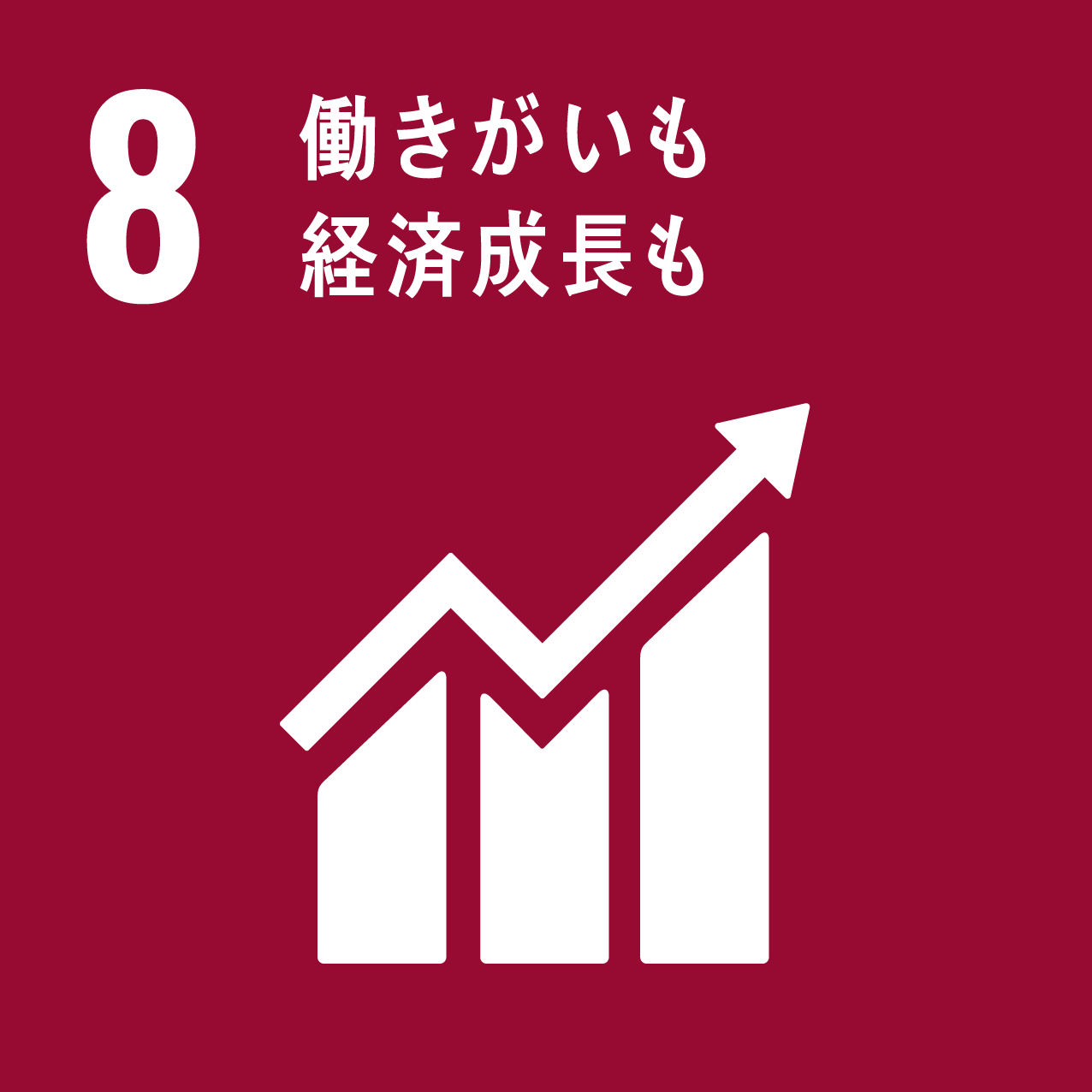 sdgアイコン08
