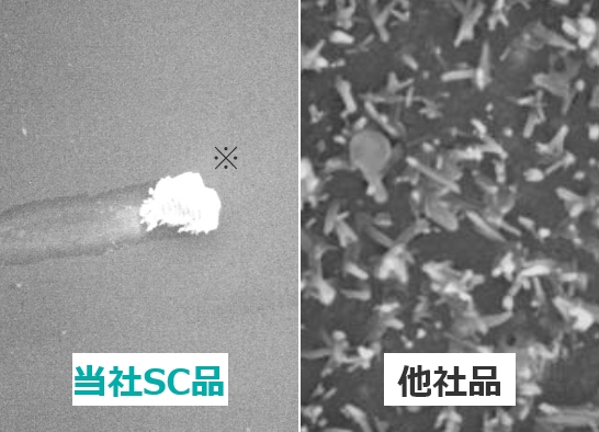 試験結果:石英管内壁のSEM像
